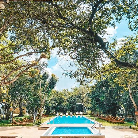 Nivadoo Resort Sigiriya Exterior foto The swimming pool at the hotel